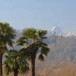 SMR 2012 - PAU les 31/5 et 1/6